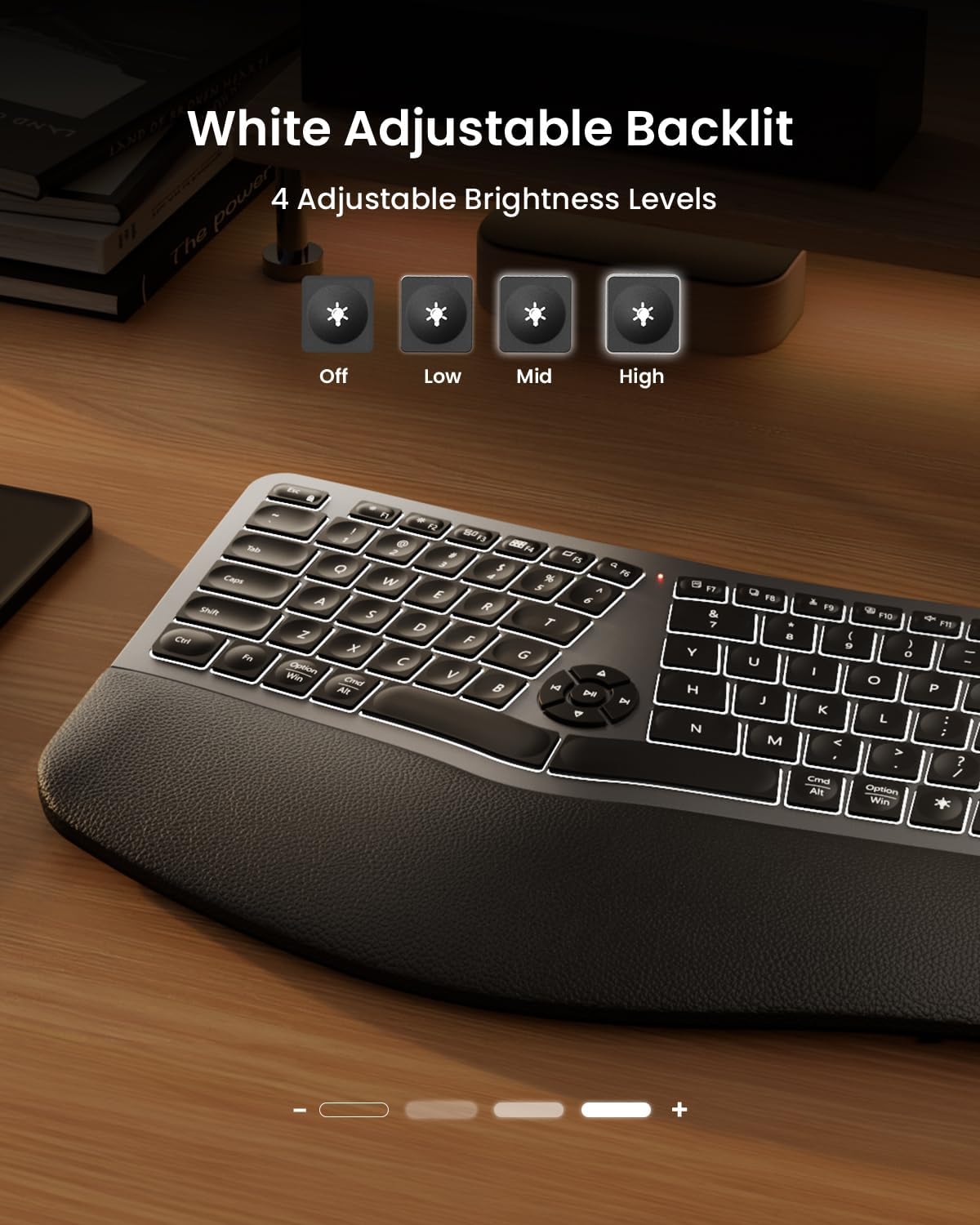 EK01 Plus Keyboard Ergonomis dengan Lampu Latar Black detail 5